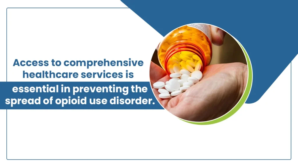 Access to comprehensive healthcare services is essential in preventing the spread of opioid use disorder.